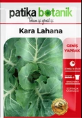 750 Adet Yerli Ata Kara (Yaprak) Lahana Tohumu - 2