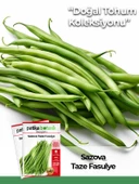 50 Adet Sazova Fasulye Tohumu thumbnail 1