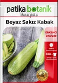 20 Adet Ata Tohumu Yerli Beyaz Sakız Kabak thumbnail 2