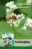 100 Adet Karabuğday Tohumu thumbnail 1