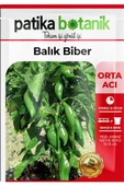 100 Adet Balık Biber Tohumu - 2