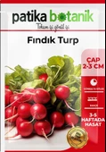 500 Adet Fındık Turp Tohumu 8682755106631GCL - 2