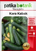 Siyah Kabak Tohumu 30 Tohum 10 Gram thumbnail 2