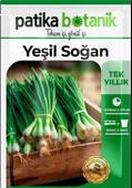 400 Adet Yerli Ata Yeşil Soğan Tohumu - 2