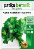 4000 Adet Yerli Ata Geniş Yapraklı Maydonoz Tohumu - 3