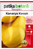 50 Adet Kanarya Kavun Tohumu - 2
