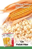 40 Adet Ata Tohumu Yerli Cin Mısır (POPCORN) thumbnail 1