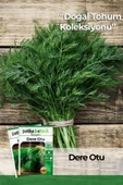 2.800 Adet Yerli Ata Toros Yeşili Dere Otu Tohumu thumbnail 1