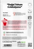 25 Adet Yerli Ata Siyah Kabak Tohumu (Kolsuz Kara Kabak) - 3