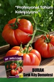 10 Adet Buran Domates Tohumu thumbnail 1