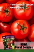 10 Adet Konya Domates Tohumu thumbnail 1