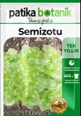 4.000 Adet Yerli Ata Semizotu Tohumu - 2
