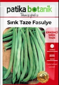 40 Adet Yerli Ata Sırık Fasulye Tohumu (Mine) thumbnail 2