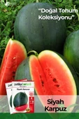 30 Adet Siyah/Kara Karpuz Tohumu - 1