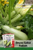 20 Adet Ata Tohumu Yerli Beyaz Sakız Kabak thumbnail 1