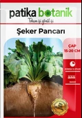 150 Adet Şeker Pancarı Tohumu - 2