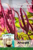 100 Adet Amarant Tohumu thumbnail 1