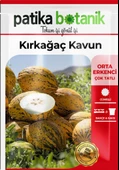 100 Adet Kırkağaç 589 Kavun Tohumu - 2