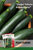 Siyah Kabak Tohumu 30 Tohum 10 Gram thumbnail 1