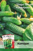 100 Adet Kornişon (Turşuluk) Salatalık Tohumu thumbnail 1