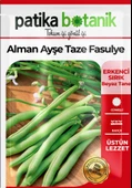 50 Adet Alman Ayşe Tipi Sırık Fasulye Tohumu - 2