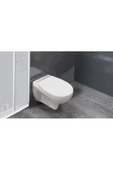 Ece Banyo Ece Karizma Asma Klozet (10Kz02003) + Pp Normal Kapak (44A10400E) Set - 1