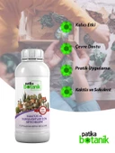 500 ML Kaktüs ve Sukulentler İçin Genel Besin - Topraktan - 1