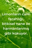 Method Lemon Mint Elde Bulaşık Deterjanı 532ML - 3