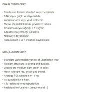 NADİR BULUNAN DOĞAL CHARLESTON GRAY KARPUZ 20 ADET TOHUM - 2
