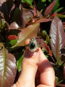 Doğal Taş Oniks Doğal Taşlı Antik Damla Model Ayarlanabilir Kadın Yüzük euy33o thumbnail 3