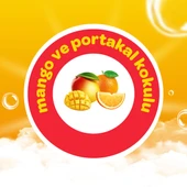 Dalin Köpük Sabun 200ML Mango ve Portakal Kokulu Çoçuklarınız İçin (2 Li Set) thumbnail 11