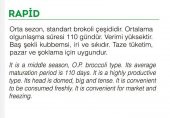 DOĞAL YERLİ BROKOLİ ÇEŞİT RAPİD 100 ADET TOHUM - 2
