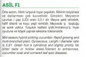 MİTOFARM ASİL F1 HYBRİT KORNİŞON HIYAR TOHUMU 100 ADET - 2
