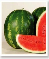 ATA TOHUMU DOĞAL DİYARBAKIR KAPRUZU 100 ADET TOHUM - 1