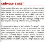 ATA TOHUMU DOĞAL DİYARBAKIR KAPRUZU 100 ADET TOHUM - 2