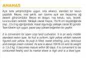 ATA TOHUMU YERLİ KAVUN TOHUMU ANANAS 100 ADET TOHUM - 2