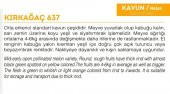 ATA TOHUMU YERLİ KAVUN KIRKAĞAÇ 100 ADET TOHUM - 2