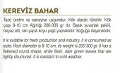 ATA TOHUMU YERLİ KEREVİZ TOHUMU 2000 ADET TOHUM - 2