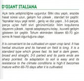 ATA TOHUMU YERLİ MAYDANOZ 2500 TOHUM - 2