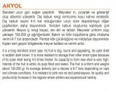 ATA TOHUMU YERLİ SOĞAN AKYOL 1000 ADET TOHUM - 2