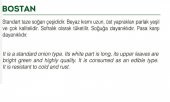ATA TOHUMU YERLİ YEŞİL SOĞAN BOSTAN TOHUMU 1000 ADET TOHUM - 2