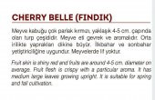 ATA TOHUMU YERLİ FINDIK TURP 500 ADET TOHUM - 2