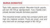 ATA TOHUMU YERLİ DOĞAL BURSA DOMATESİ 1000 ADET TOHUM - 2