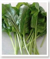 ATA TOHUMU YERLİ PAZI 100 ADET TOHUM thumbnail 1