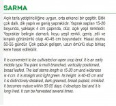 ATA TOHUMU YERLİ PAZI 100 ADET TOHUM thumbnail 2