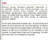 ATA TOHUMU YERLİ DOĞAL KÖY DOMATESİ 1000 ADET TOHUM thumbnail 2