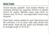 ATA TOHUMU YERLİ FASULYE SULTAN 50 ADET TOHUM - 2