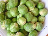 YERLİ BRÜKSEL LAHANASI TOHUMU 180 ADET thumbnail 1