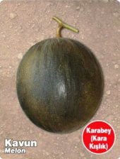 ATA TOHUMU YERLİ KAVUN KARABEY 100 ADET TOHUM - 1