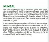 ATA TOHUMU YERLİ TOPAK DOLMA KABAK 20 ADET TOHUM thumbnail 2